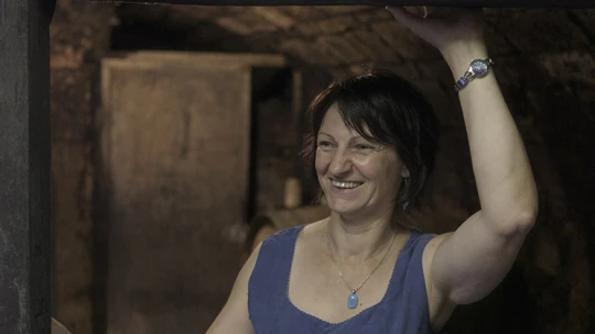 Onnan jött, ahol  a tankönyveket írják