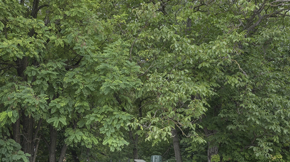 Mini Gourmet Fesztivál