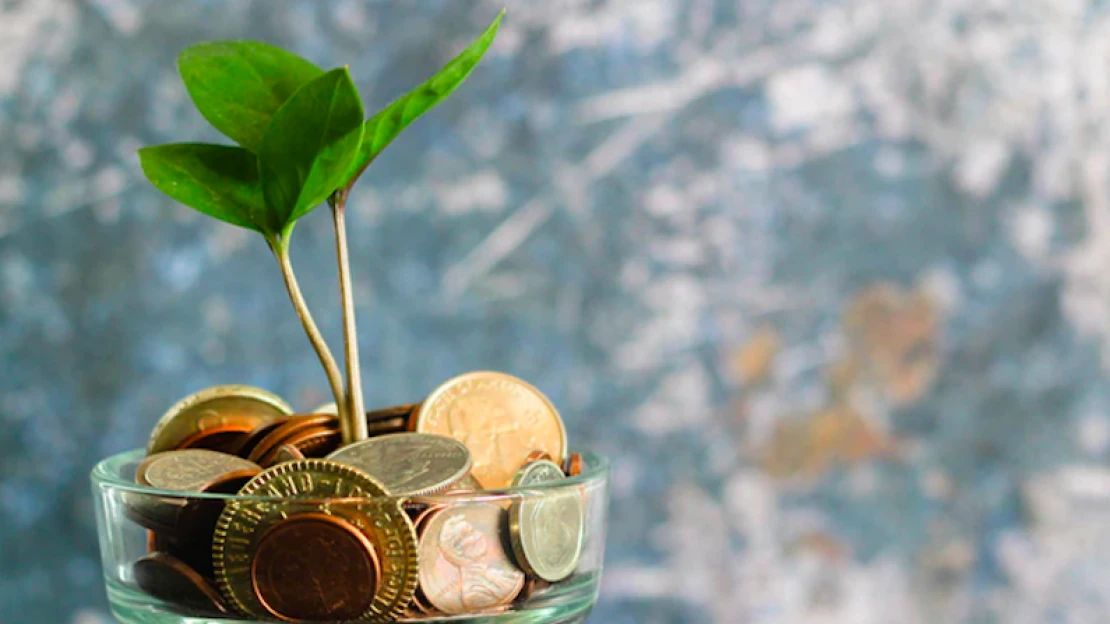 Bezzeg az albán pénz stabil – hogy csinálják és miért úgy?