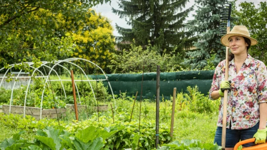 Balkonkertészeknek segít a Capsul Farm, a budapesti lusta kertészet