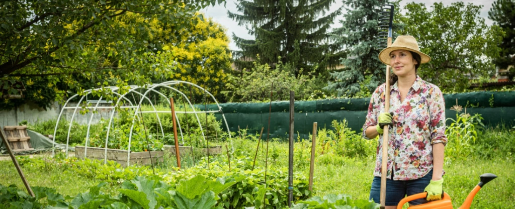 Balkonkertészeknek segít a Capsul Farm, a budapesti lusta kertészet