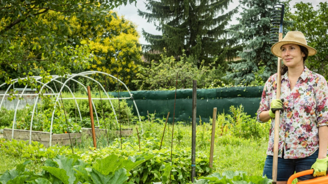 Balkonkertészeknek segít a Capsul Farm, a budapesti lusta kertészet