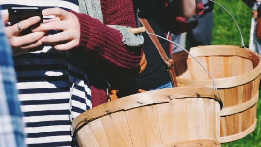 A kelet-európaiak hazamentek, plakátokkal toborozzák gyümölcsszedésre a briteket