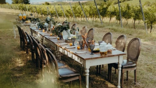 Természetközeli ötcsillag – A jövő cateringje a fenntarthatósággal kezdődik
