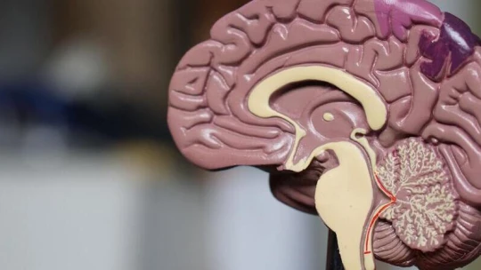 Így izzítsd be az agyad, hogy felgyulladjon az a bizonyos villanykörte