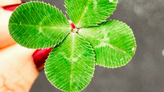 Az igazán szerencsés emberek öt szokása