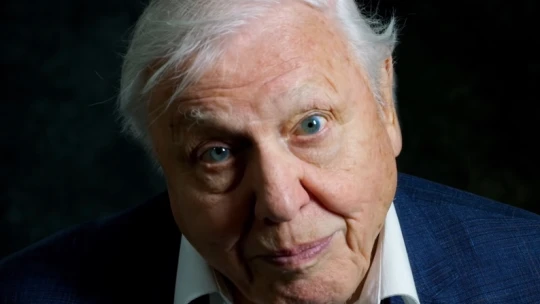 Attenborough beállt egy új, mindenfajta műanyagot újrahasznosító technológia mögé