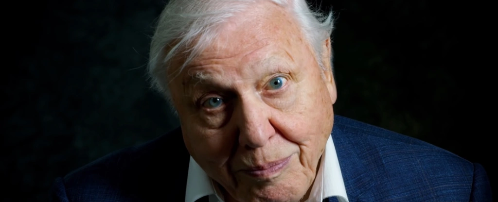 Sir David Attenborough a Föld megmentéséért regisztrált az Instagramra