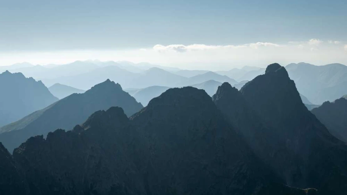 Egy pókasszony mindent megbocsát