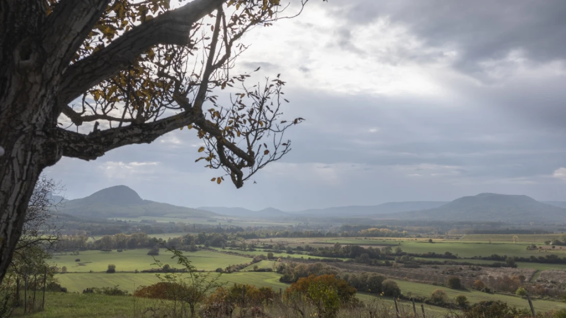 Akinek el kell ide jutnia,  az ideér