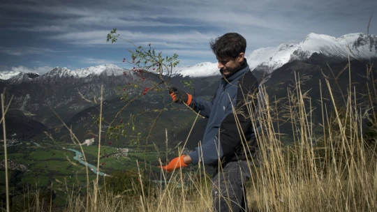 Mohaleves, borókafagylalt  – titkos bevásárlólista az erdőből