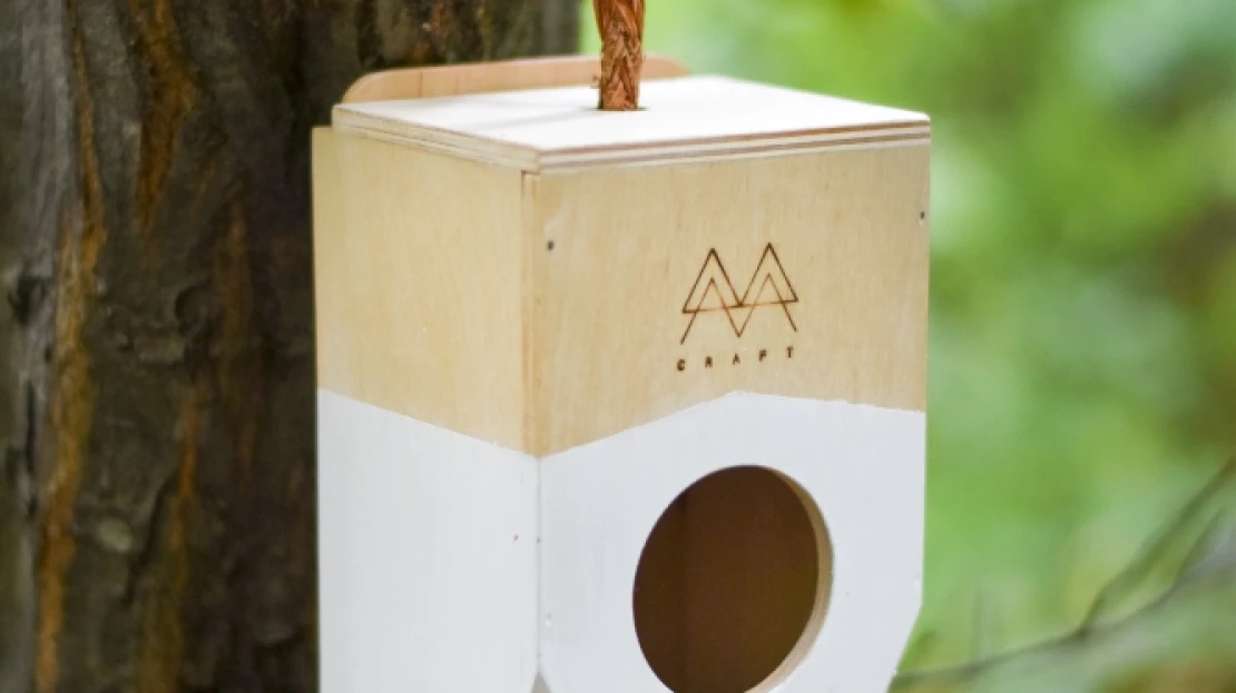 Dizájnba zárt esélyek