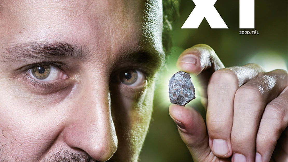 Magyar földbe  magyar dinót!