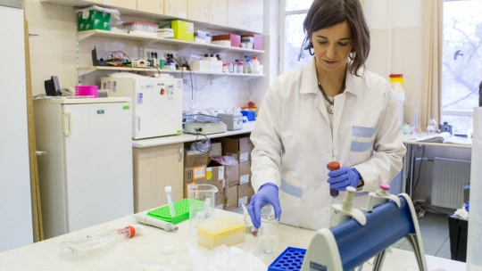 Ez a magyar egyetem a világ 186. legjobbja