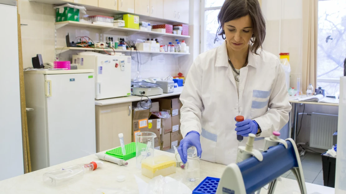 Ez a magyar egyetem a világ 186. legjobbja