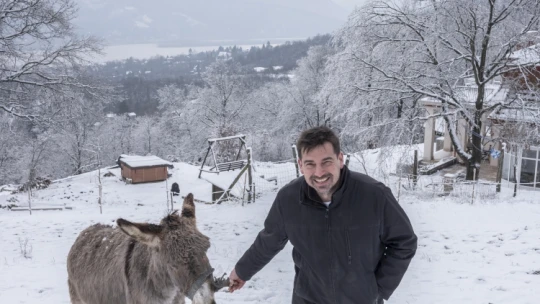 A szerbek, a szamarak és egy úthenger