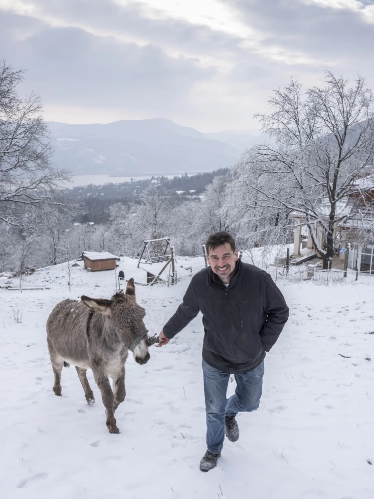 A szerbek, a szamarak és egy úthenger