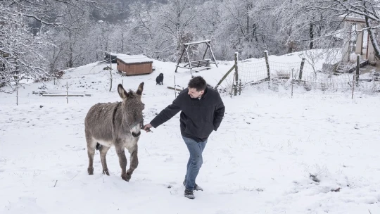 A szerbek, a szamarak és egy úthenger – A kiadóalapító Halmos Ádám portréja