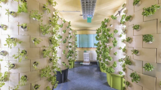 Jövő a növénytoronyból