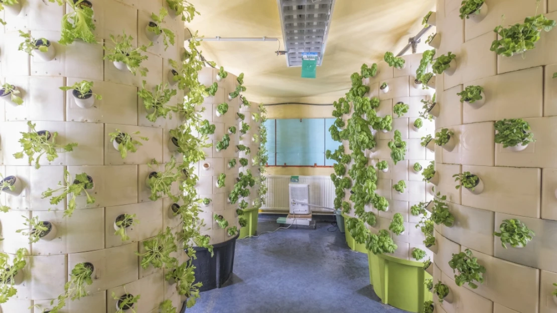 Jövő a növénytoronyból