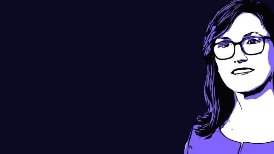 Zseni vagy lufi? Vajon bedőlnek-e Cathie Wood sztáralapjai?