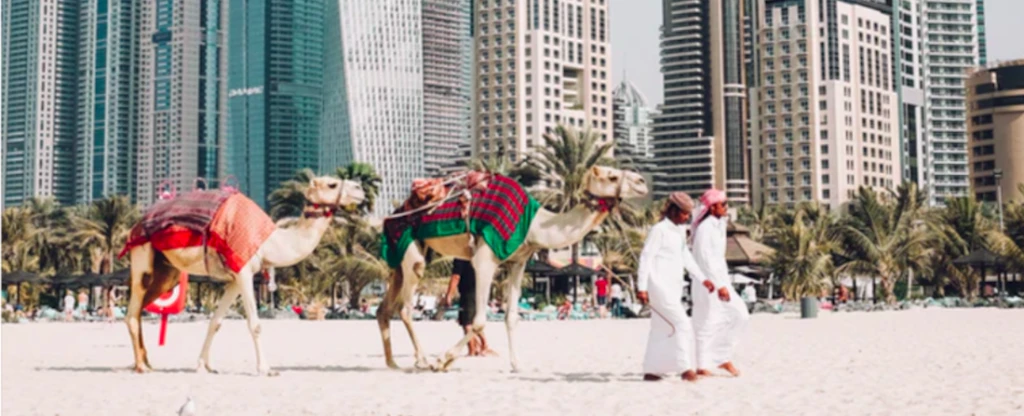 Fotó: Fredrik Öhlander // Unsplash