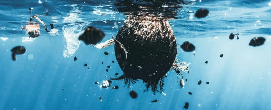 Forbes_mikroműanyag-szennyezés. Unsplash