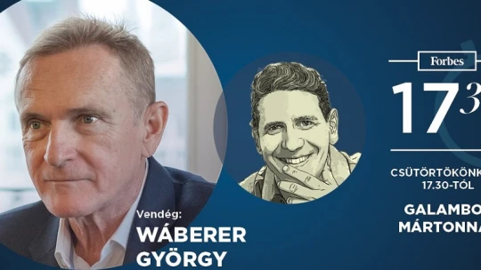 Wáberer György: az alapítványi átszervezés nem privatizációt jelent