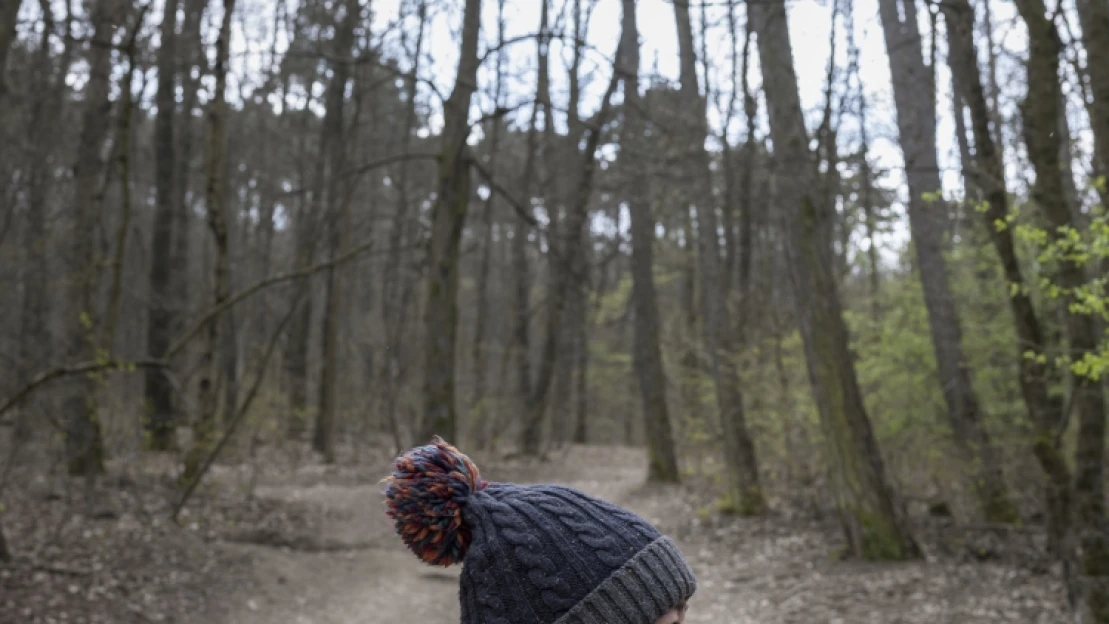 Még pár év, és az erdőfürdő lehet az új jóga