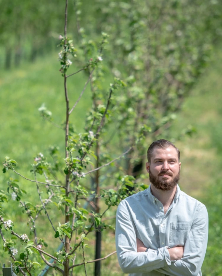 Ha virágoznak az almafák, abból cider is lesz