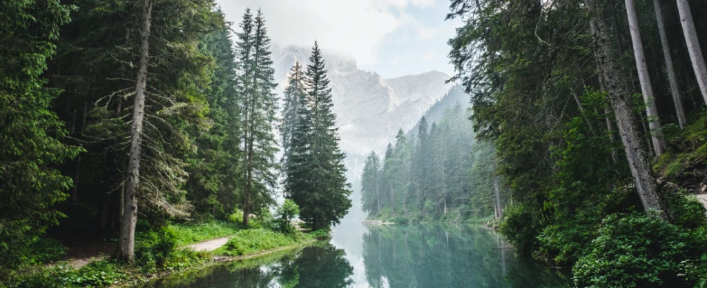 Fotó: Luca Bravo / Unsplash