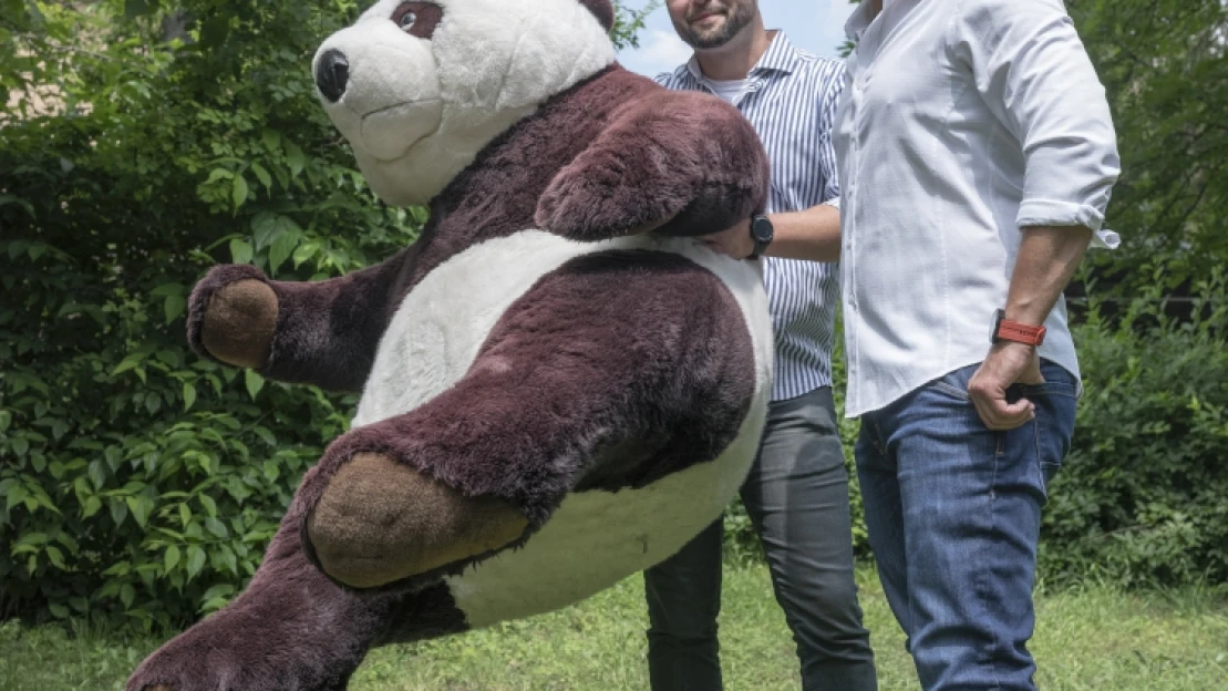 Havi 1500 forinttal már érdemben tudunk valamit kezdeni