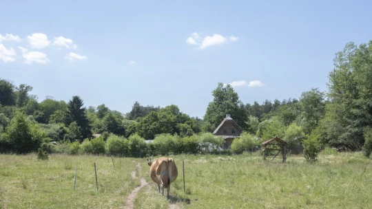 Szabadságkeresés az Őrségben