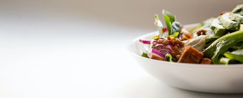 Vegán tál. Fotó: Hermes Rivera