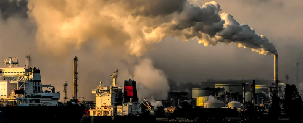 Fotó: Chris LeBoutillier // Unsplash