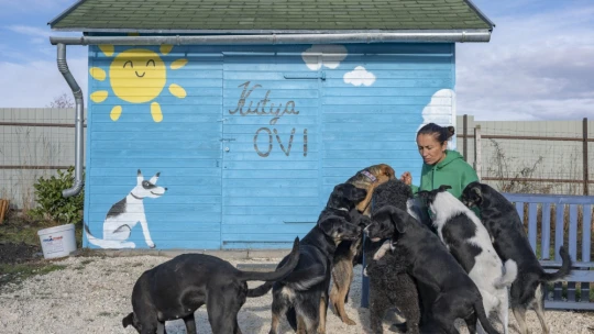 Menyasszonytáncból is kapnak pénzt