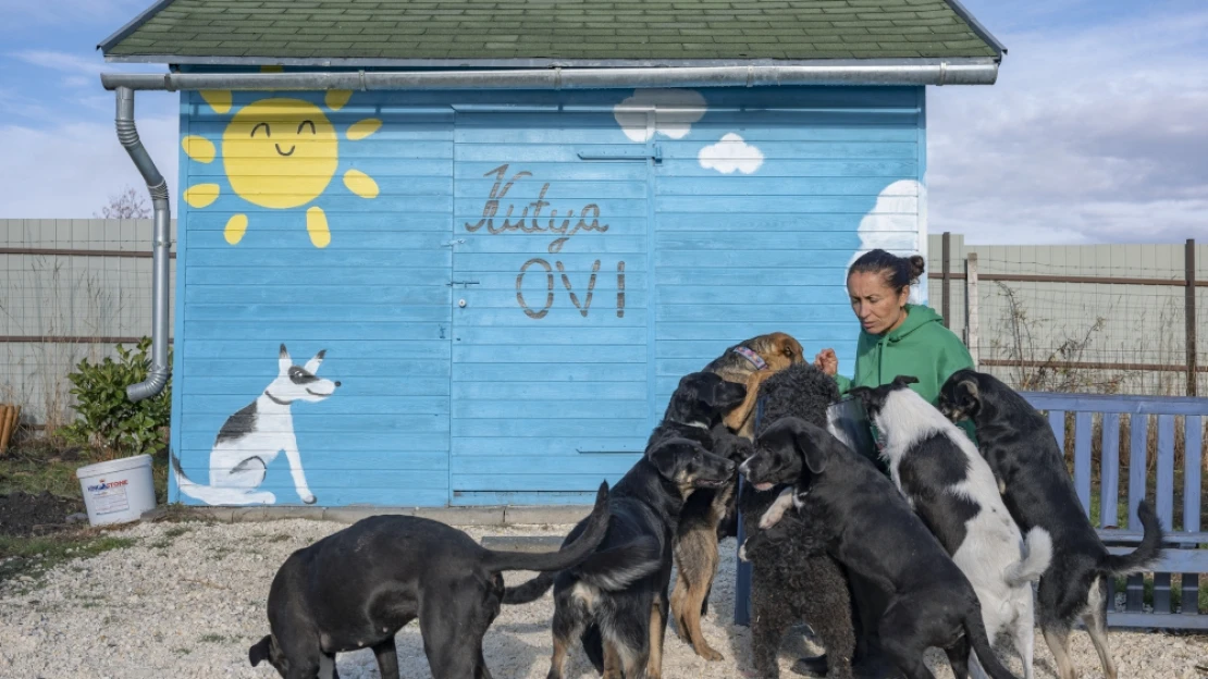 Menyasszonytáncból is kapnak pénzt