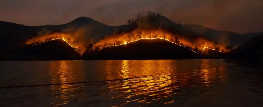 Erdőtűz az ausztráliai Stack Bluff nemzeti parkban / Matt Palmer / Unsplash