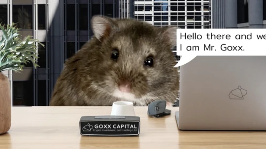 Elpusztult Mr. Goxx, a kriptokereskedő hörcsög
