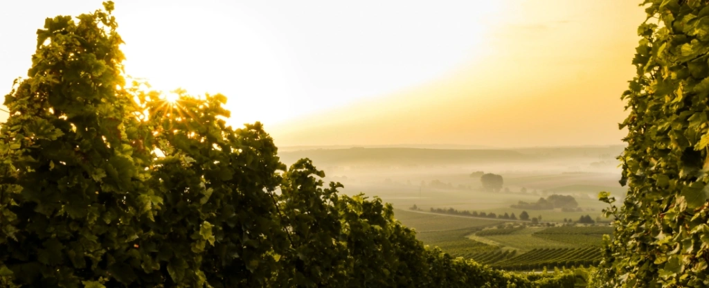 Két kilométeres, zártkabinos libegő lehet Tokaj új látványossága