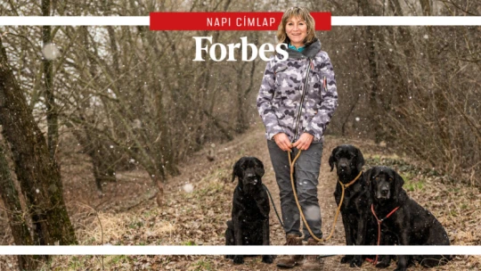 A kutyák, akiknek menő budapesti éttermekben a szarvasgombát köszönheted