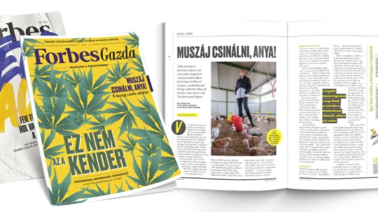 Sok száz órányi ingázás van benne, de emlékeztetnek a nagymama csirkéjére
