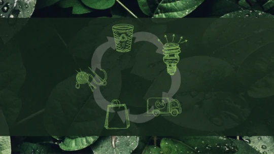 Négy tipp, amivel zöldebbé teheted a következő rendezvényedet