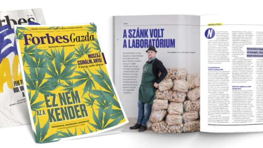 Mi történik, ha egy tanár házaspár tormatermesztésbe kezd?