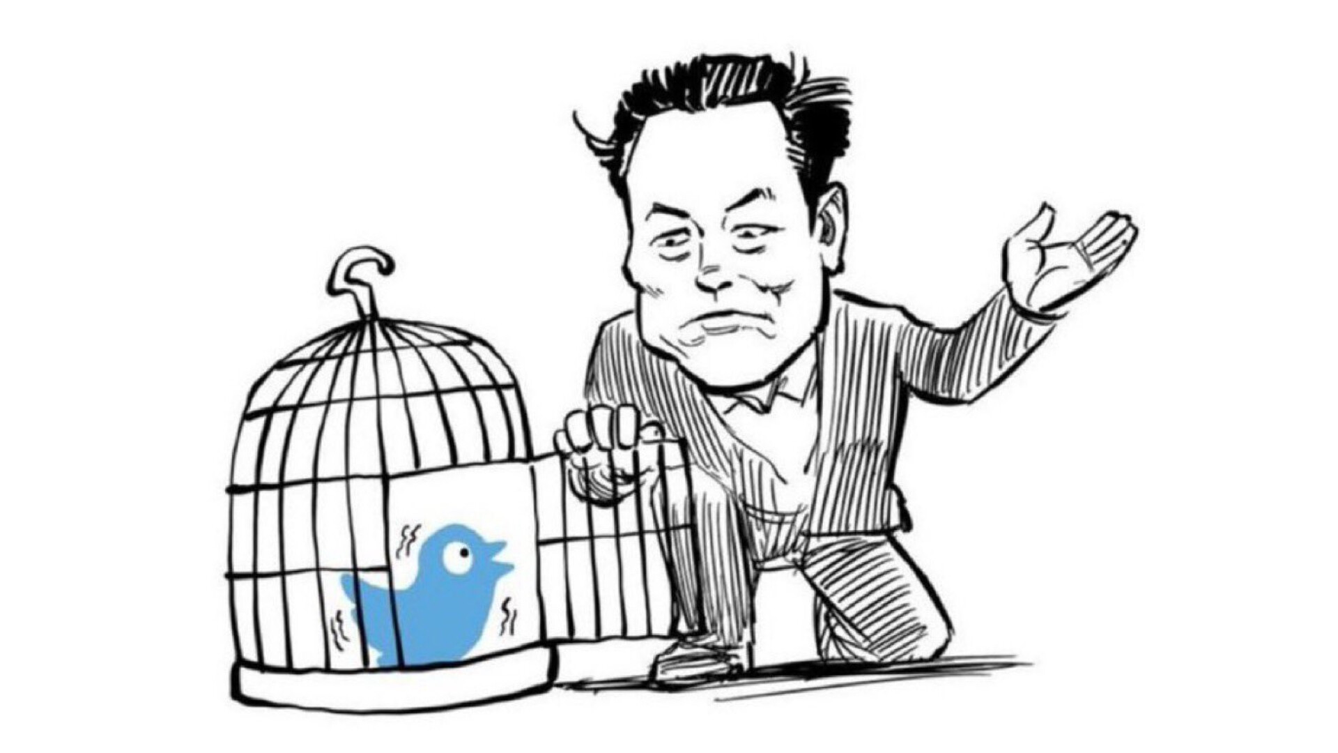 Musk emeli a tétet, a Twitter-alapítót is beidézteti a bíróságra
