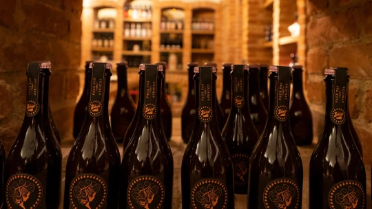 Amikor a tokaji aszú sörversenyt nyer egy osztrák sörfőzdének