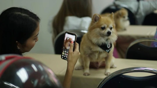 A Tiktok anyacégéről alig hallani, pedig már egészségügyi adatokat is kezel