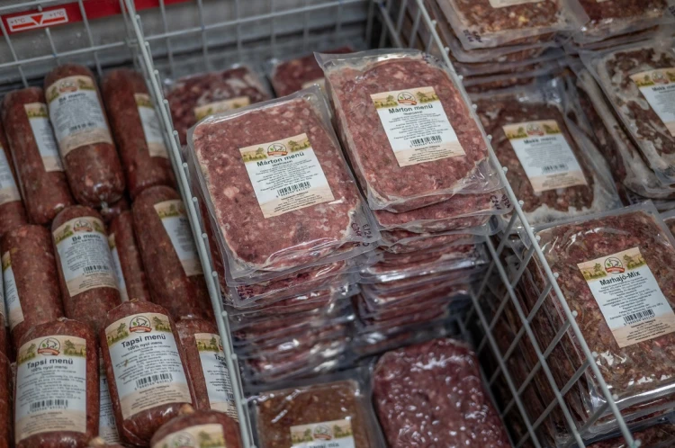 Nem az a jó gazdi, aki milliós táskát varrat a kutyájának – a szőrös nyúlfül és a bivalyhúscsík is a természetes táplálás része a Farkaskonyhában_2