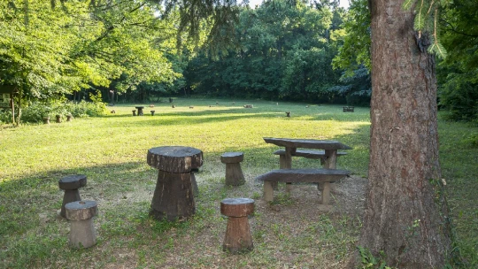 Hány forintot ér egy erdei séta? A tudósok kiszámolták