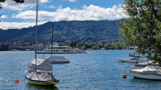 Egy igazi bezzegország is nemet mondott a vagyonadóra